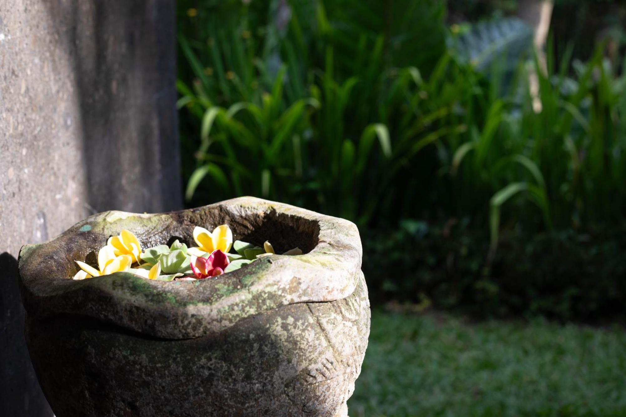 Suara Air Luxury Villa Ubud Exterior foto