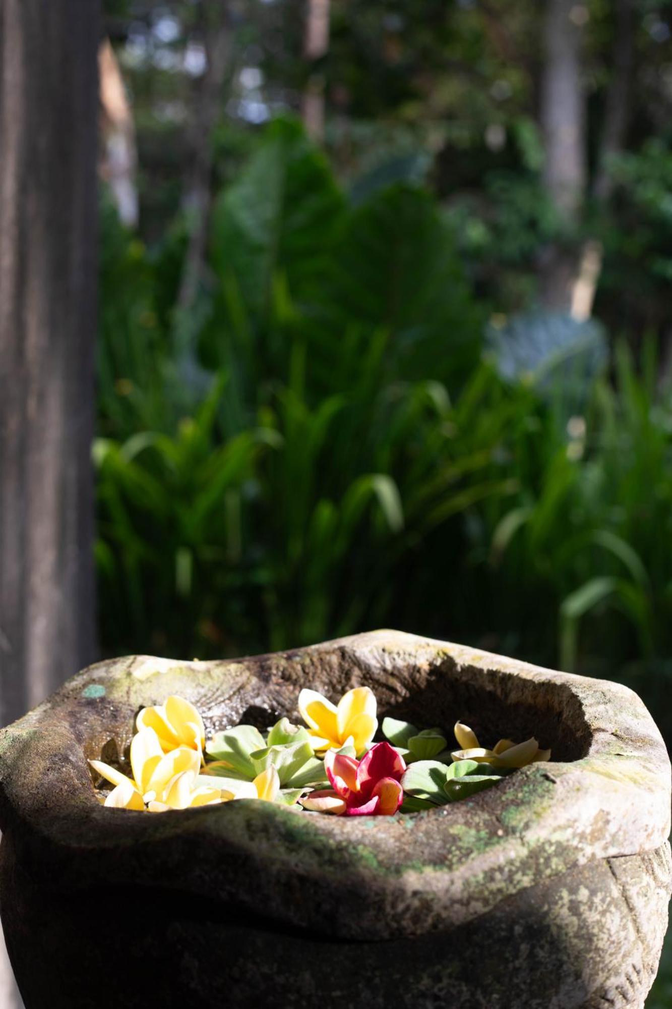 Suara Air Luxury Villa Ubud Exterior foto