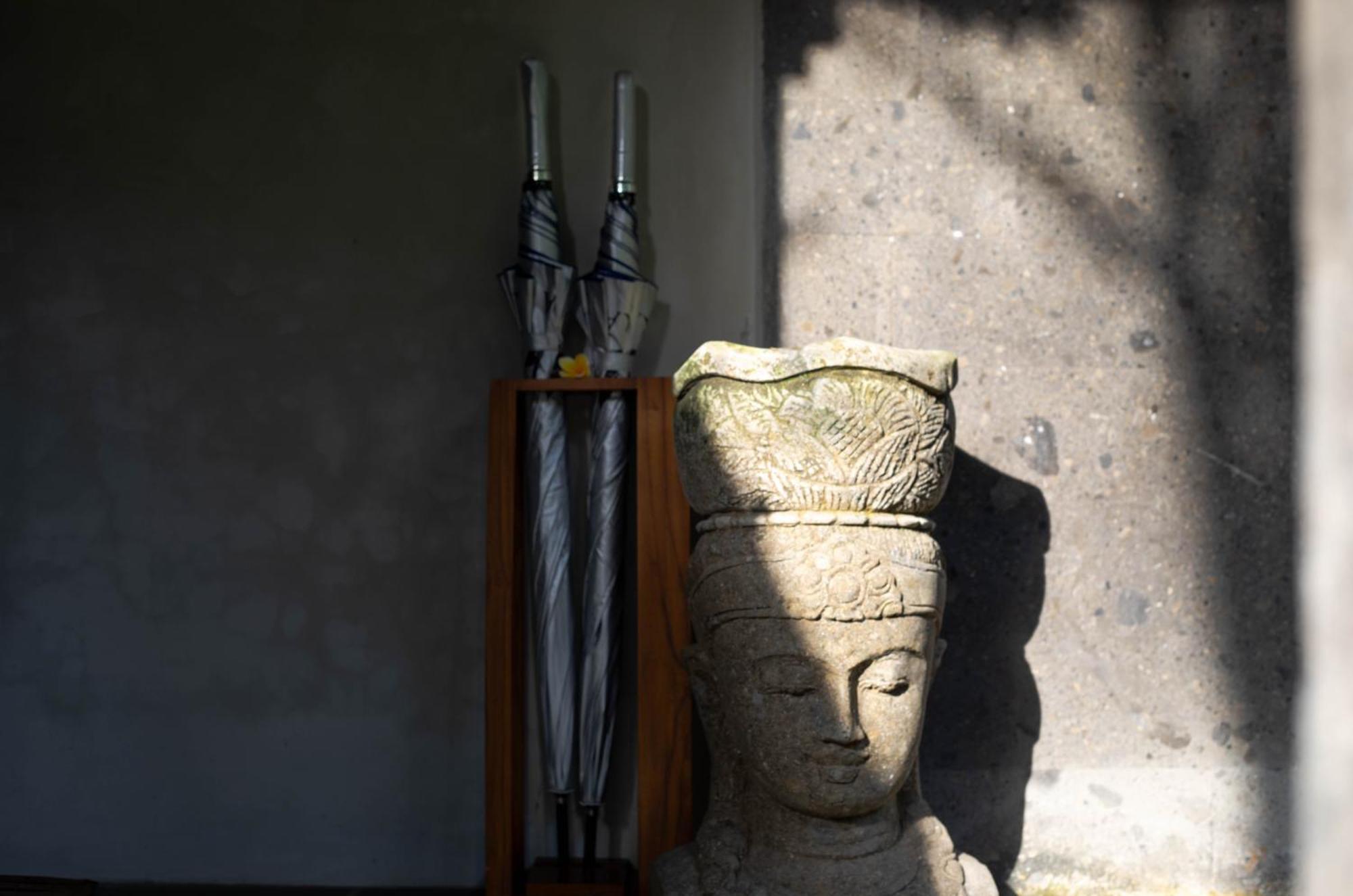 Suara Air Luxury Villa Ubud Exterior foto